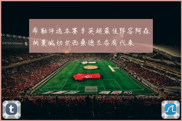 希勒评选本赛季英超最佳阵容阿森纳曼城切尔西桑德兰各有代表